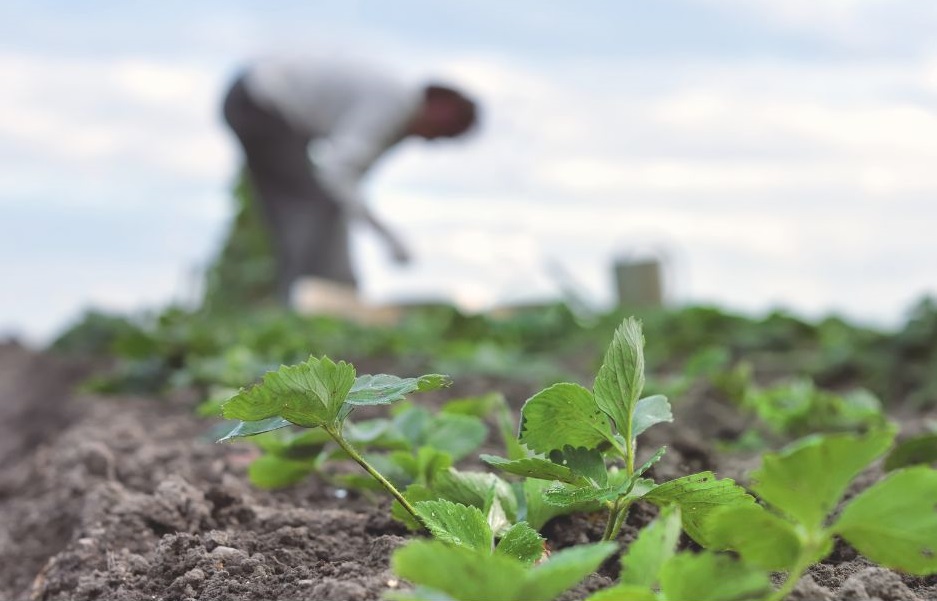 täiskasvanud rahvastiku tervisekäitumise uuring
