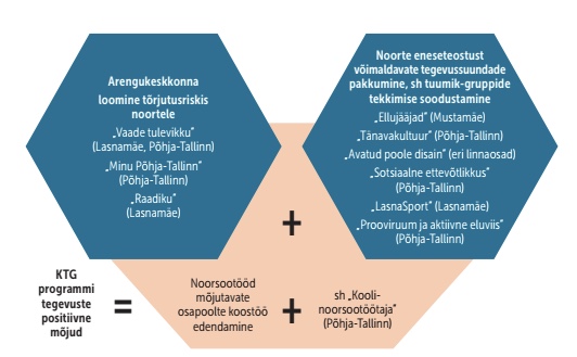 Kohalike omavalitsuste koostöögruppide programmide tegevused skeemil